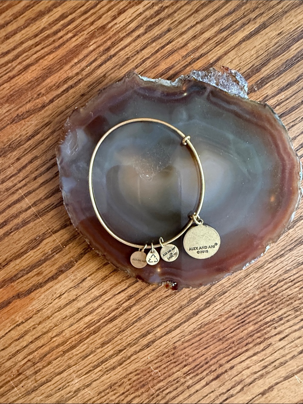 Alex and Ani Gold Tone Charm Bangle with Logo Disc